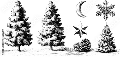 Snowy night winter collection with crescent moon pine trees snowflakes design art.
