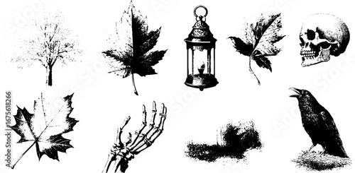 Spectral autumn motifs collection: leaves, lantern, skull, and raven for halloween design