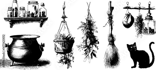 Witch's cottage interior: vintage engraving collection featuring cauldron, shelves, herbs, and black cat silhouette