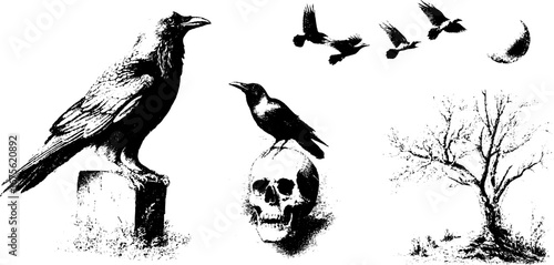 Halloween birds and skull engraving design elements collection for seasonal craft projects