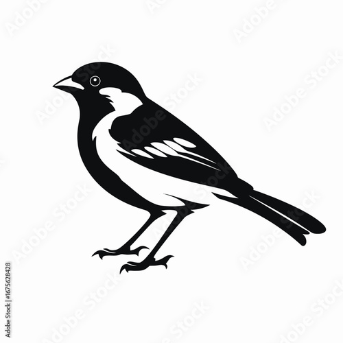 Graphic image of a bird with detailed features, is a silhouette