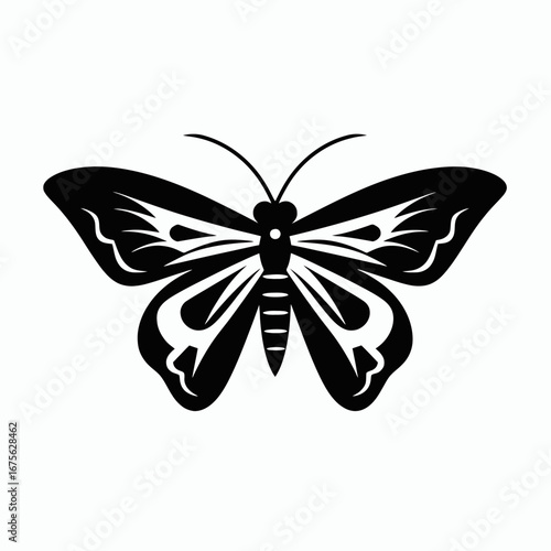 Detailed butterfly wings in black and white vector graphic silhouette