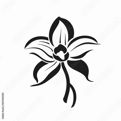 Exquisite floral arrangement exhibiting delicate details in a black botanical orchid silhouette
