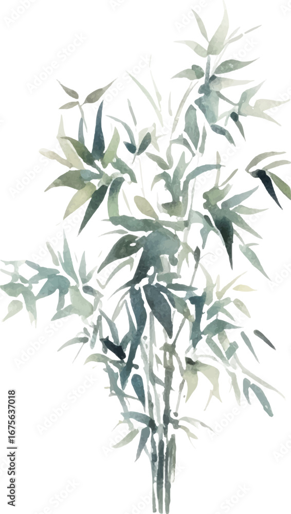 Obraz premium Vector watercolor painted bamboo. Hand drawn flower design elements isolated on white background.