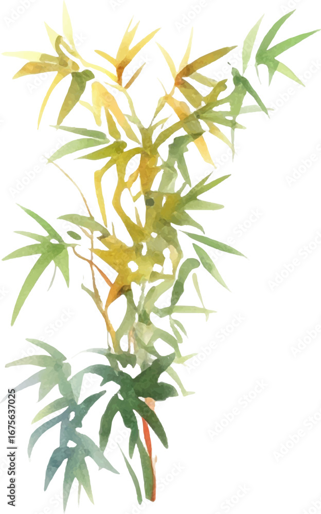 Naklejka premium Vector watercolor painted bamboo. Hand drawn flower design elements isolated on white background.