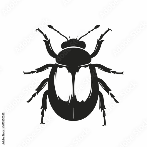 Striking beetle with detailed legs vector art insect animal silhouette