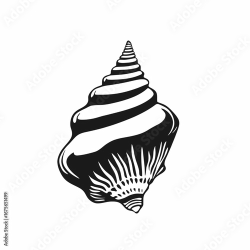 Elegant detailed seashell, presenting a stunning monochrome marine life silhouette