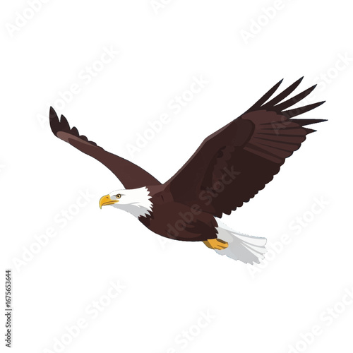 A stylized illustration of a bald eagle soaring against a dark background, showcasing its powerful wings in flight.