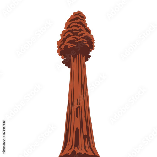A majestic sequoia tree, depicted in warm terracotta tones, stands tall against a dark background.