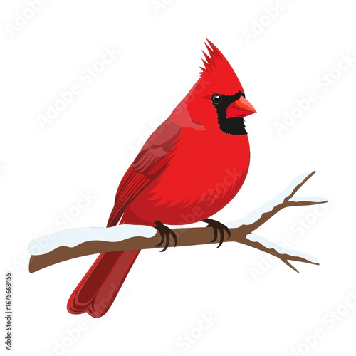 A vibrant red cardinal perches gracefully on a branch covered in snow, against a striking black backdrop.