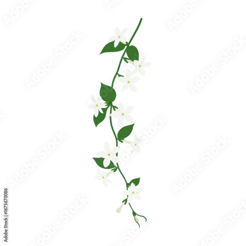 A decorative arrangement of white jasmine flowers and green leaves cascading vertically against a dark background.