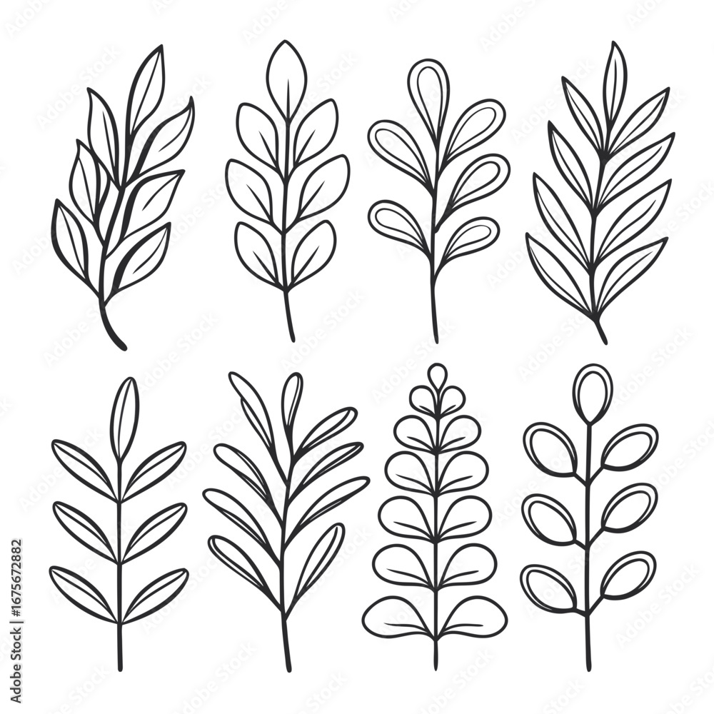 Fototapeta premium Collection of hand drawn botanical leafy branches