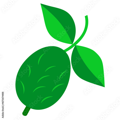 Vector art of green hop cone with leaves