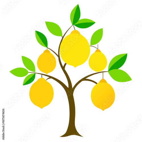 Vector art of lemon tree with six yellow lemons and green leaves