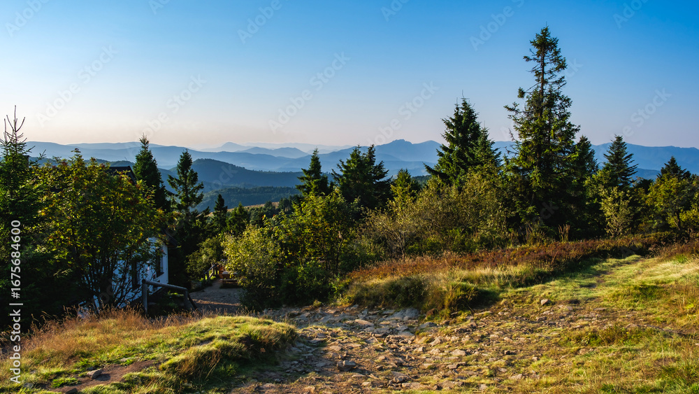 Obraz premium Wędrówka po Beskidzie Żywieckim