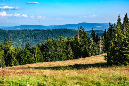 Fototapeta Naklejka Na Ścianę i Meble -  Wędrówka po Beskidzie Żywieckim