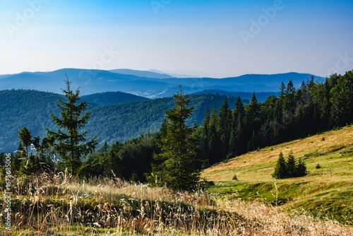 Fototapeta Naklejka Na Ścianę i Meble -  Wędrówka po Beskidzie Żywieckim