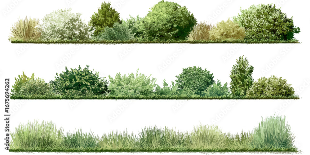 Fototapeta premium set of green trees isolated cad lines architecture and landscaping model Vector of watercolor tree side view isolated on white background