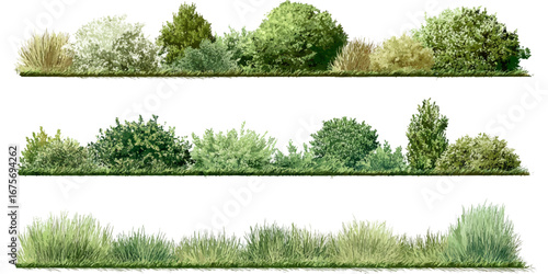 set of green trees isolated cad lines architecture and landscaping model Vector of watercolor tree side view isolated on white background