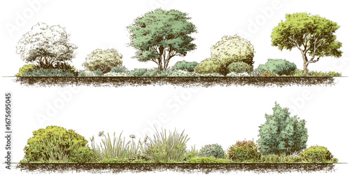 Colorful Tree Set – Watercolor Nature Collection of Greenery and Tree Shapes on White Background Vector Illustration