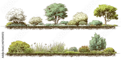 set of green trees isolated cad lines architecture and landscaping model Vector of watercolor tree side view isolated on white background
