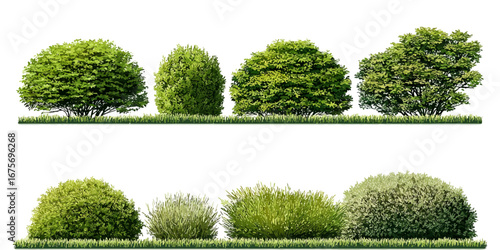 Contour of tall coniferous trees, set of beautiful  Bushes and Shrubs Vector Set – Realistic Green Plants and Grass Isolated for Landscape Design Illustration  on transparent background 