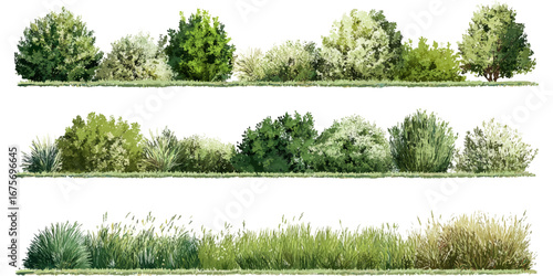 Contour of tall coniferous trees, set of beautiful  Bushes and Shrubs Vector Set – Realistic Green Plants and Grass Isolated for Landscape Design Illustration  on transparent background 
