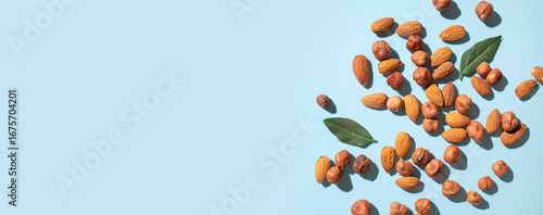 Scattered nuts hazelnuts and almonds on blue background flat lay top view. Food background. Tasty healthy snack, appetizer. Peeled nut kernels, dried fruit. Space for text. Long banner