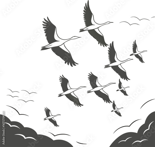 Vector illustration of flying black bird silhouettes in the sky with wings outstretched