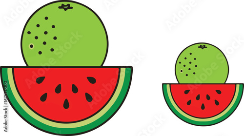 Vibrant vector fruits watermelon and melon display unique size contrast art