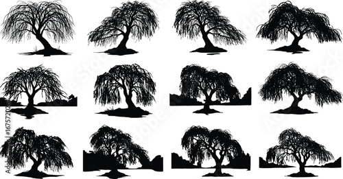Willow tree silhouettes collection, black tree shapes, drooping branches, nature illustration set, botanical design elements, isolated vector trees, landscape decoration art