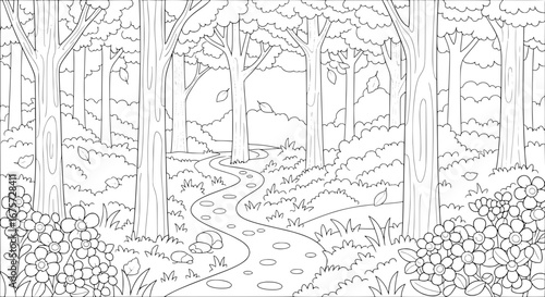 Forest landscape with trees and pathway with transparent background