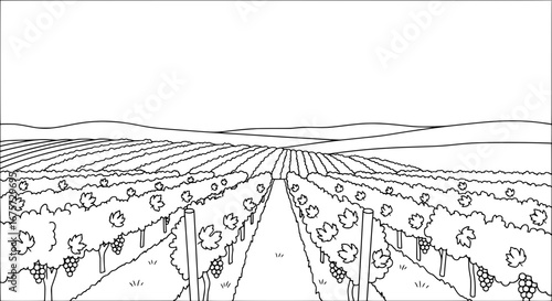 Vineyard landscape silhouette with transparent background