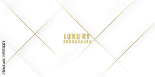 White luxury abstract background with golden lines and shadows. Premium vector illustration