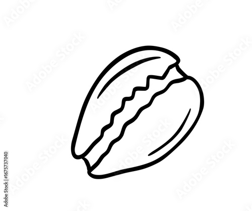 Smooth Clam Shell Line Art