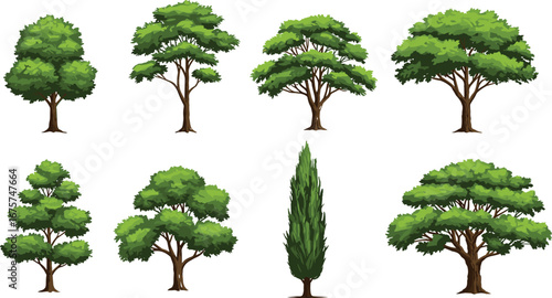 Flat vector illustration of various tree types, deciduous and conifer, landscape design elements, nature icon set, environmental education, greenery collection