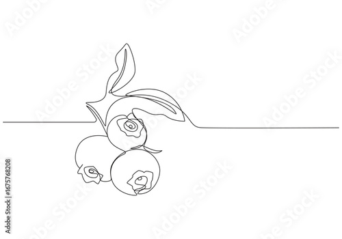 Blueberries in continuous line art drawing style. Group of blueberry fruits and leaves, Vector line continuous blueberry branch with leaves. Hand drawn outline illustration