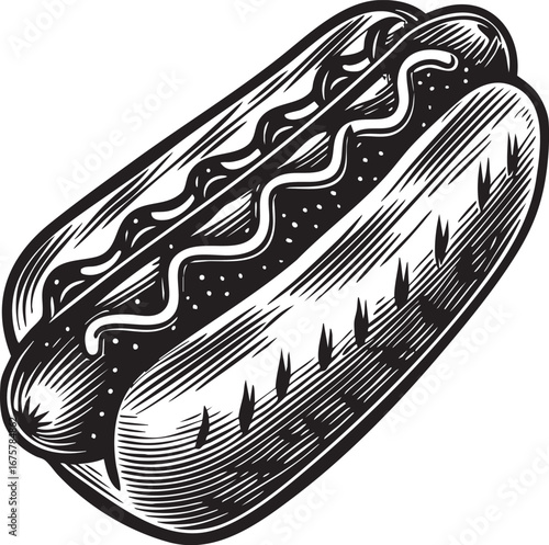 tasty and delicious hotdog vector illustration