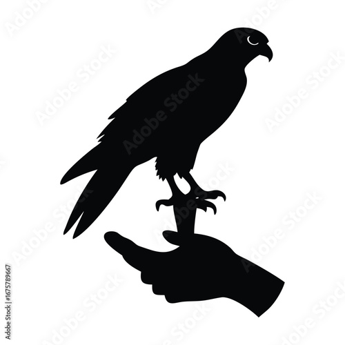 Silhouette of a falcon perched on a gloved hand