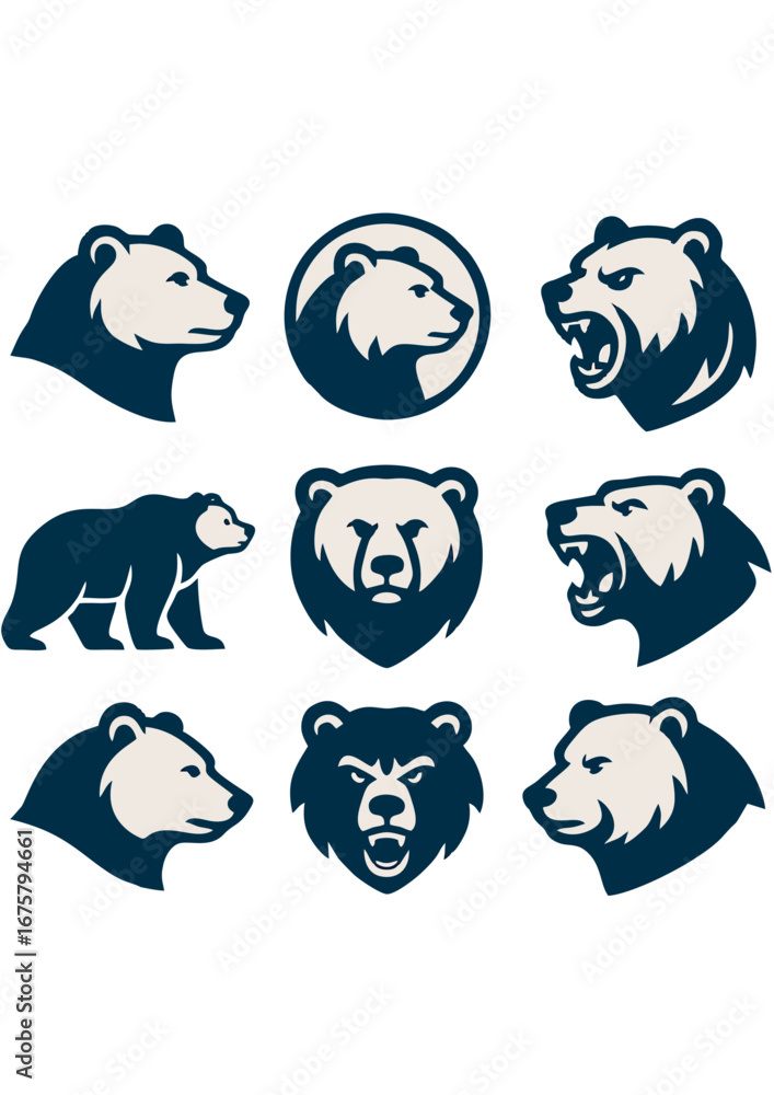 Fototapeta premium Bear