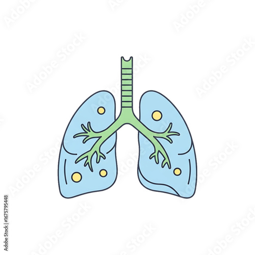 Lungs illustration representing respiratory health.