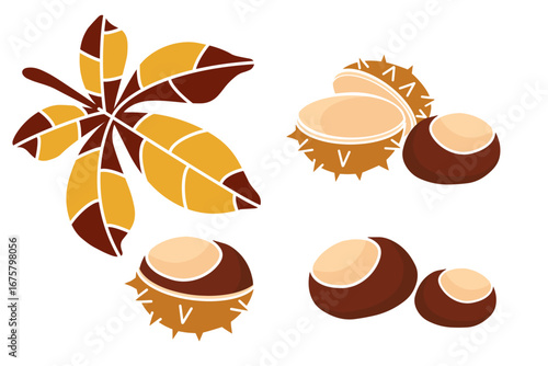 Botanical chestnut set with yellow brown colors. Young ripe fruits, leaves, spiky pods, and shells. Ideal flat vector for seasonal and botanical designs.