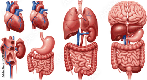 set of Tow truck, Car towing vector icon set isolated on white. Car evacuation sign. Transparent background PNG, cutout	
