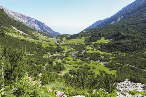A scenic view of a high-altitude mountain valley within Pirin National Park, Bulgaria. A pristine stream meanders through green meadows and dense evergreen trees.