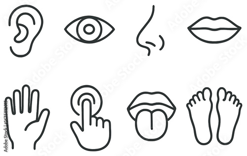 Human senses linear icon set. featuring ear, eye, nose, mouth, hand, touch, tongue, feet symbols