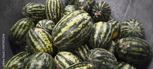 Wallpaper Mural Watermelon Fresh Fruit from the Garden Torontodigital.ca