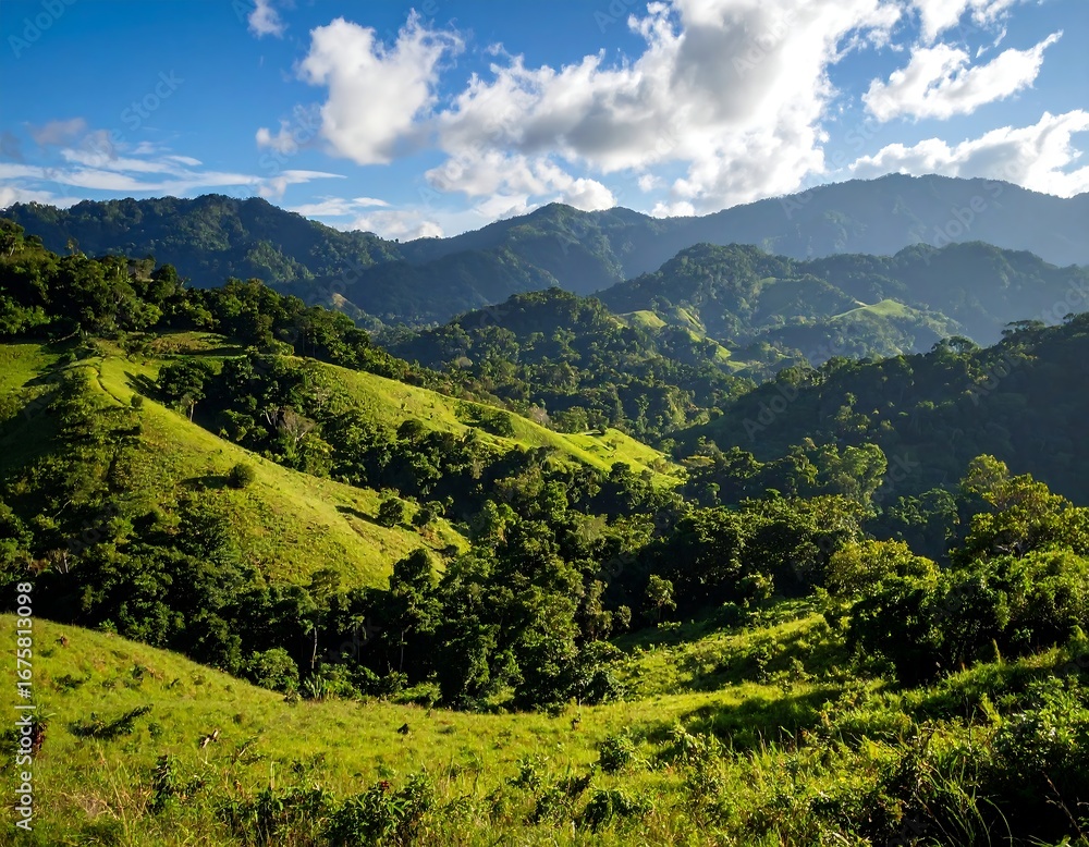Fototapeta premium Lush mountain valley landscape
