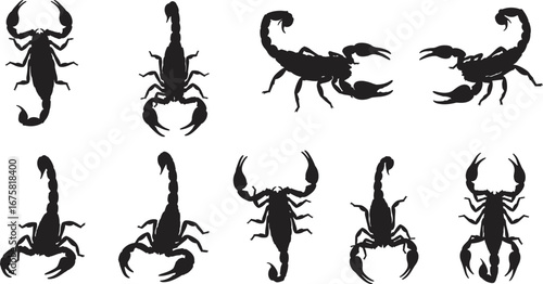 Black scorpion silhouette set featuring ten unique poses with detailed pincers and curved tails, vector illustration for wildlife, nature, danger themes