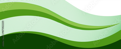 Abstract green wave background, Vector green line background curve element with white space for text and message design, overlapping layers.