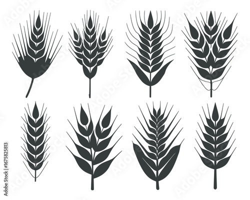 A graphic set of various isolated wheat ears and cereal spikes. Vector silhouette icons representing agriculture, harvest, and bread production a